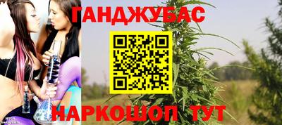 прущие грибы Комсомольск-на-Амуре