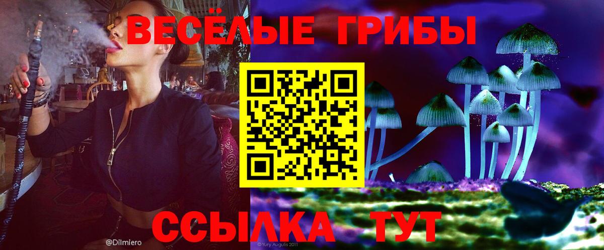 Чусовой  Псилоцибиновые грибы мицелий  Вход с VPN 