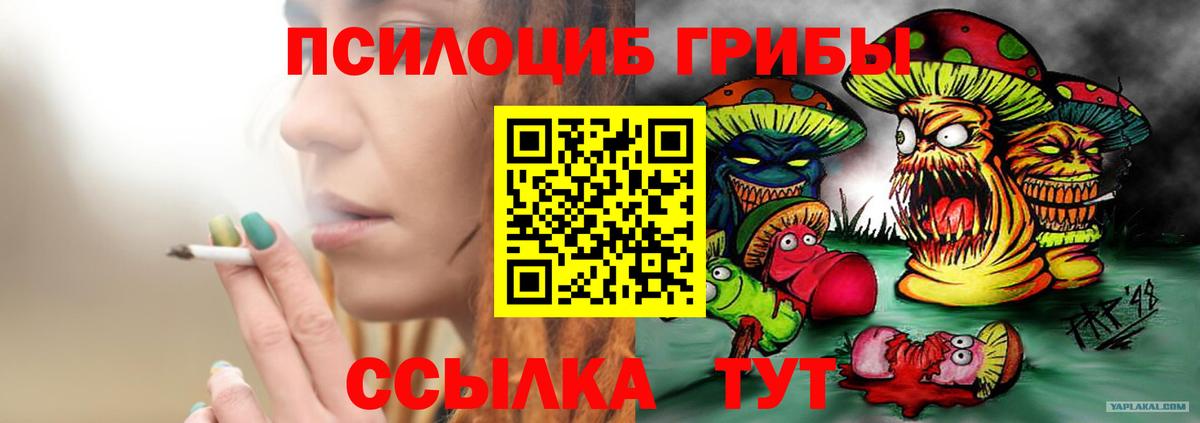 Галлюциногенные грибы Magic Shrooms Чусовой